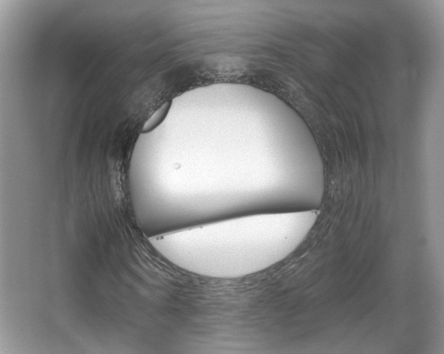 X0000067870866200604131012
