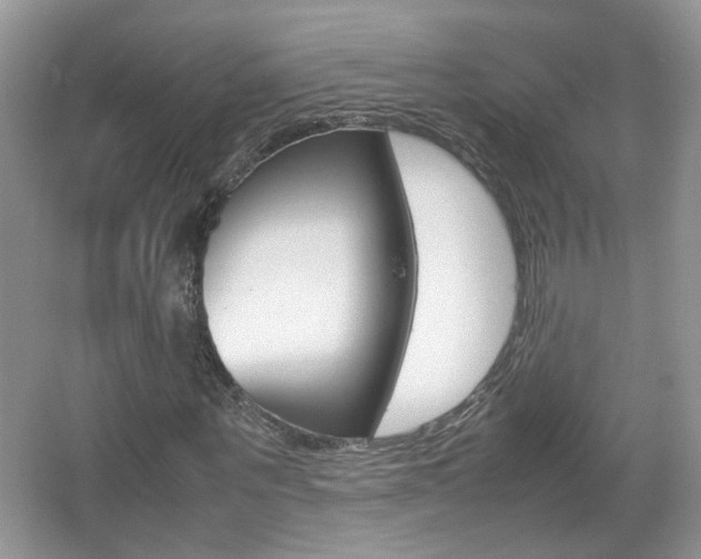 X0000067870867200604131012