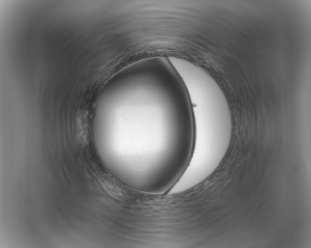 X0000067870868200604131012