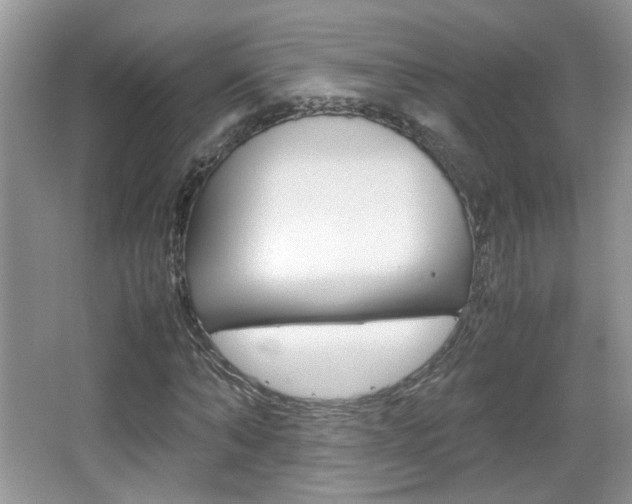 X0000067870870200604131012