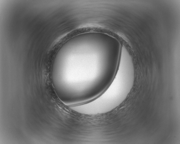 X0000067870872200604131012