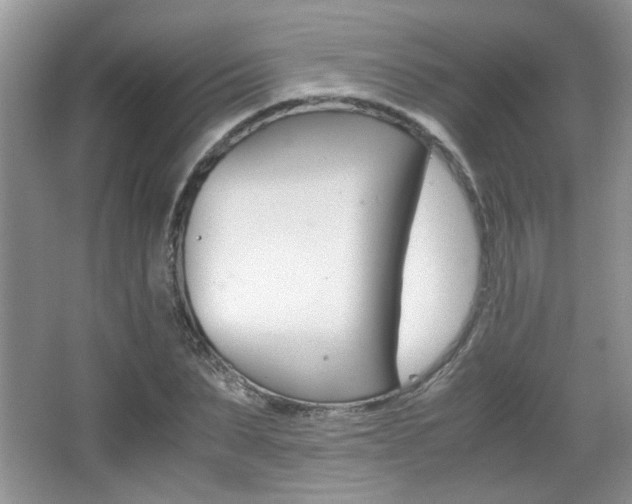 X0000067870879200604131012