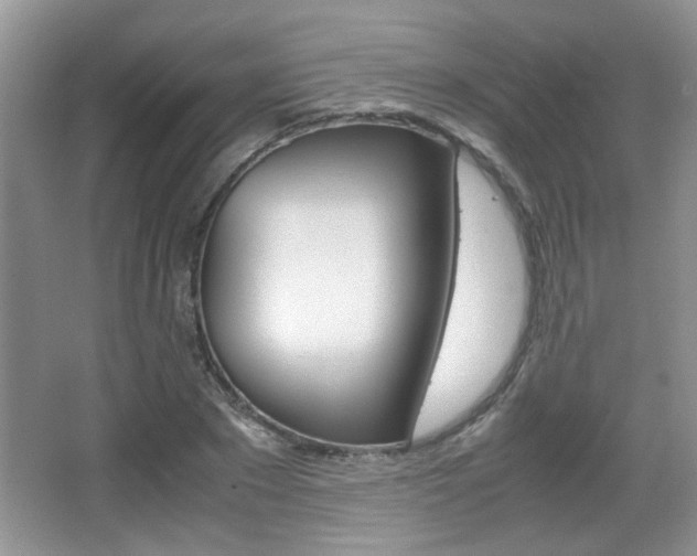 X0000067870881200604131012