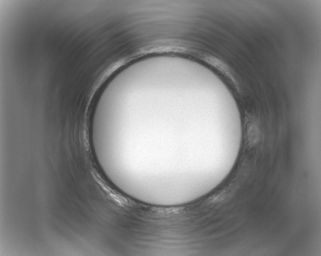 X0000067870882200604131012