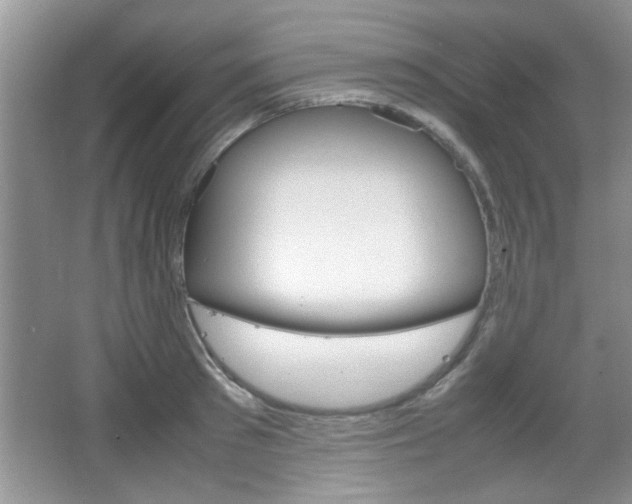 X0000067870897200604131011