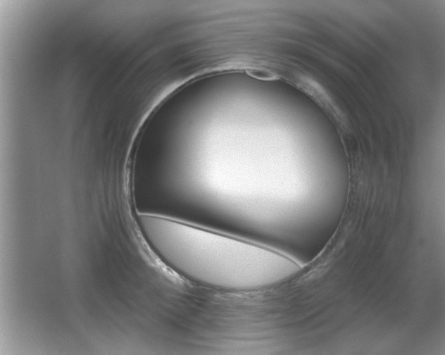 X0000067870900200604131011