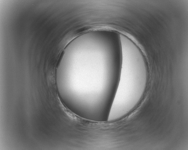 X0000067870905200604131011
