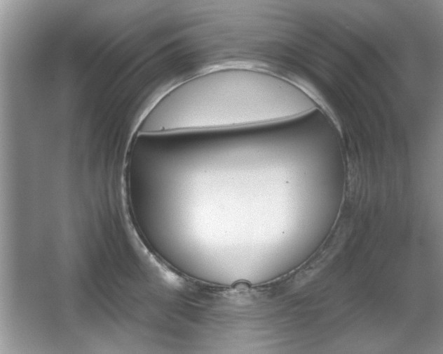 X0000067870906200604131011