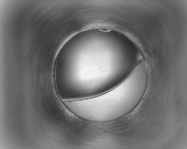 X0000067870912200604131011