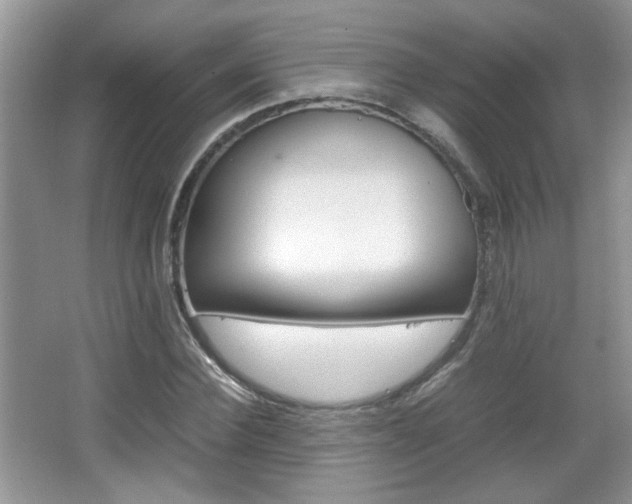 X0000067870924200604131011