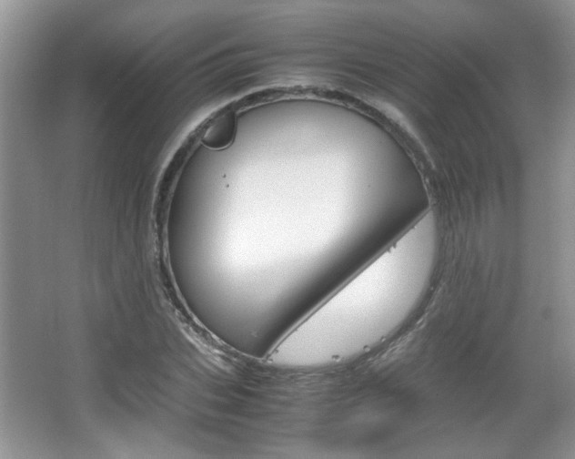 X0000067870927200604131011
