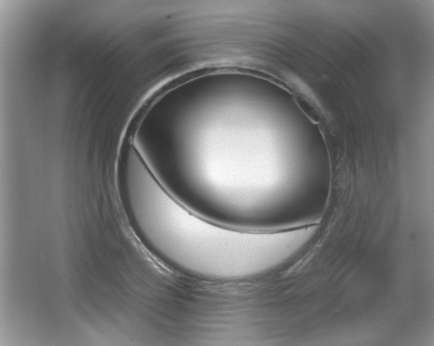 X0000067870932200604131011