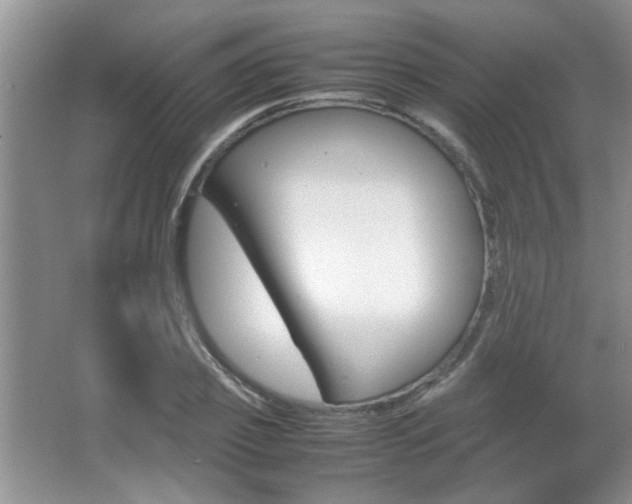 X0000067870933200604131011
