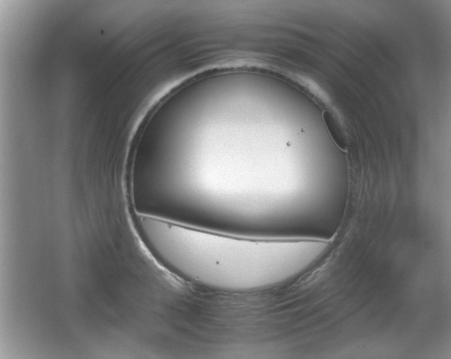 X0000067870943200604131011