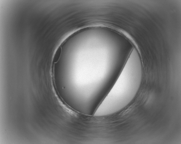 X0000067870951200604131011