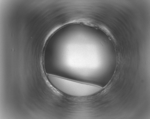 X0000067870952200604131011