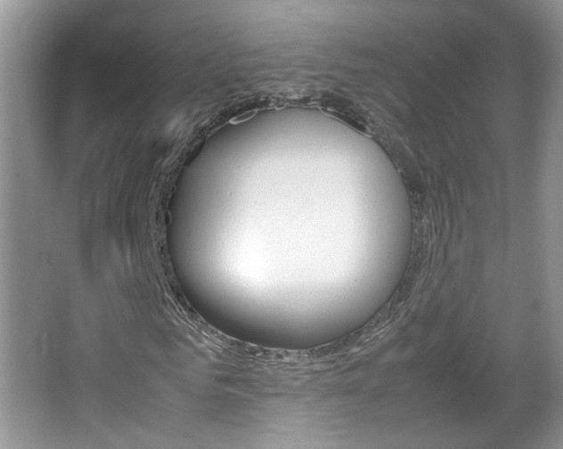 X0000067870961200604131010