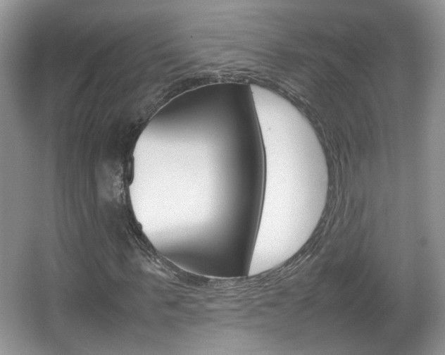 X0000067870963200604131010