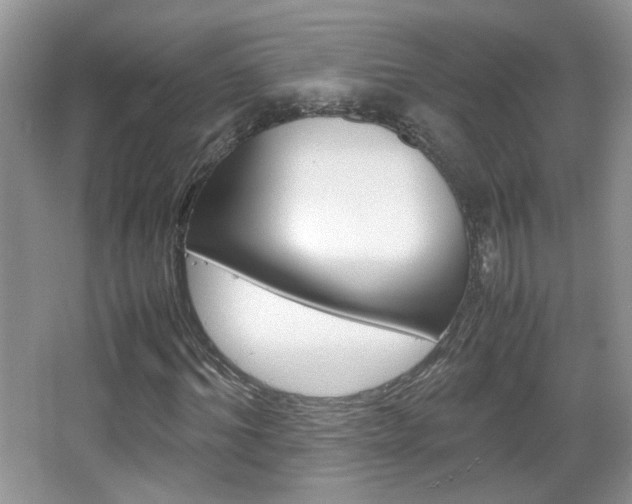 X0000067870964200604131010