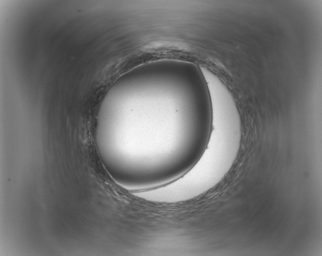 X0000067870965200604131010