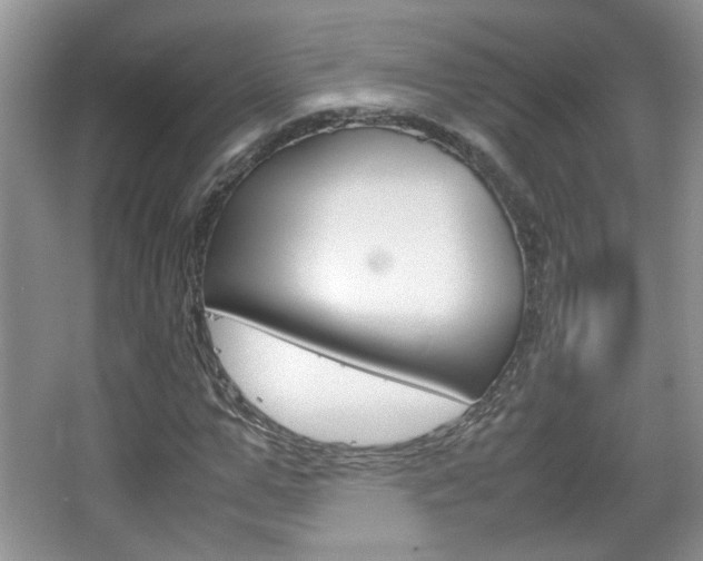 X0000067870967200604131010