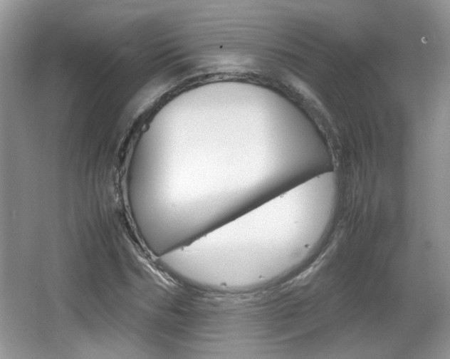 X0000067870970200604131010