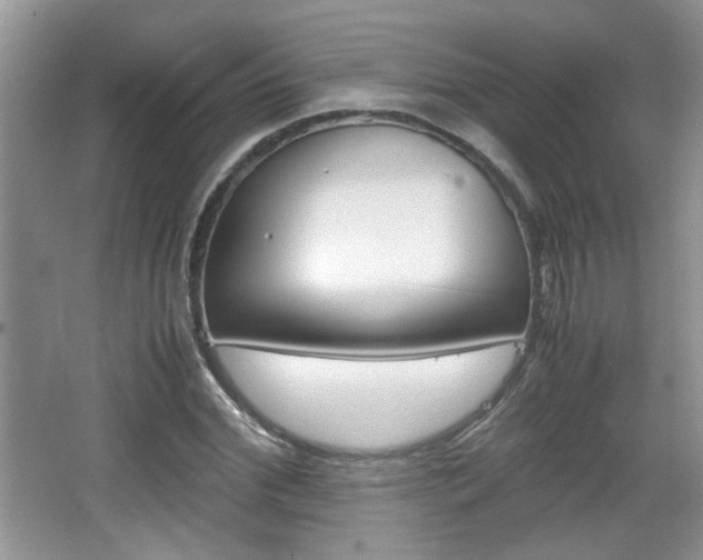 X0000067870972200604131010