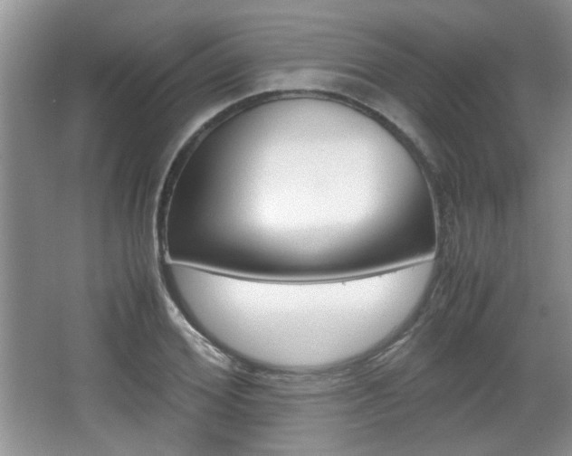 X0000067870980200604131010