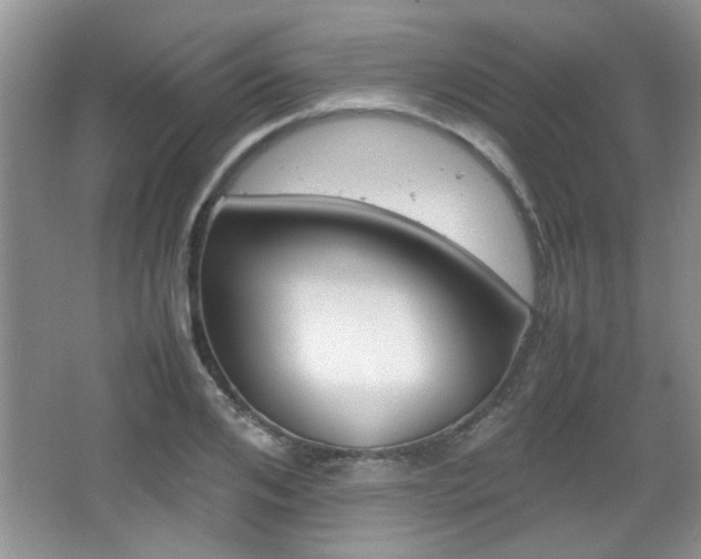 X0000067870984200604131010