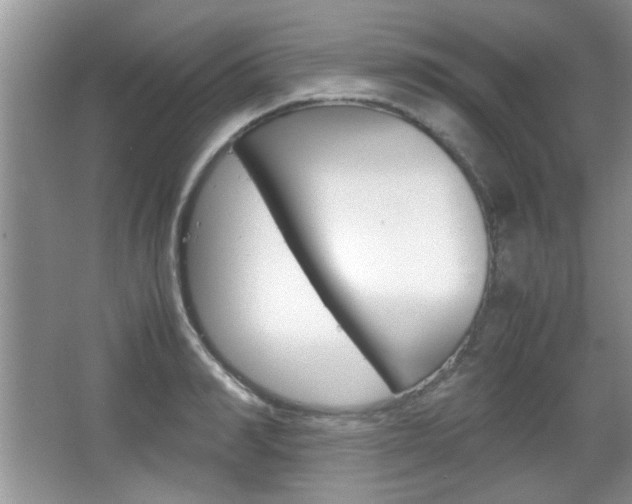 X0000067870990200604131010