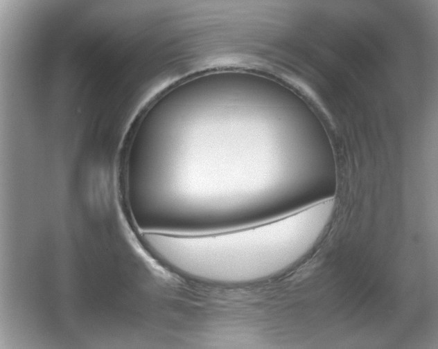 X0000067870991200604131010