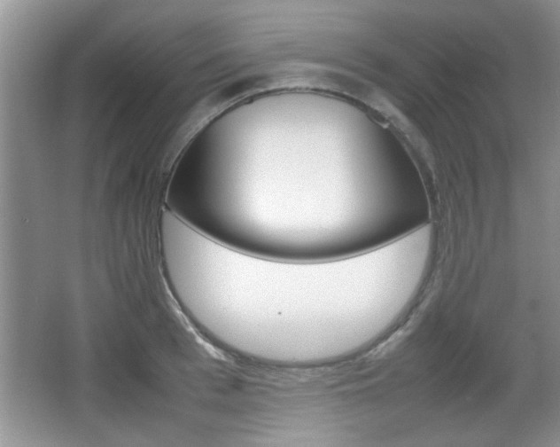 X0000067870993200604131010
