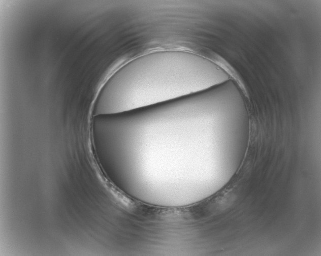 X0000067871002200604131010