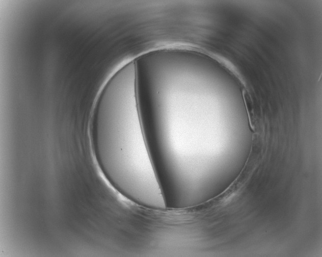 X0000067871007200604131010
