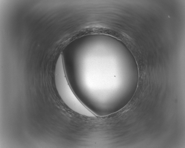 X0000067871014200604131009