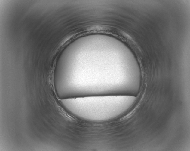 X0000067871017200604131009