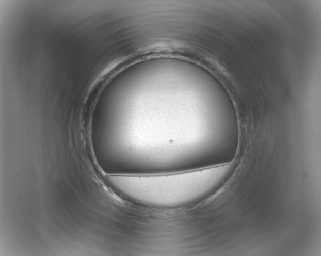X0000067871018200604131009