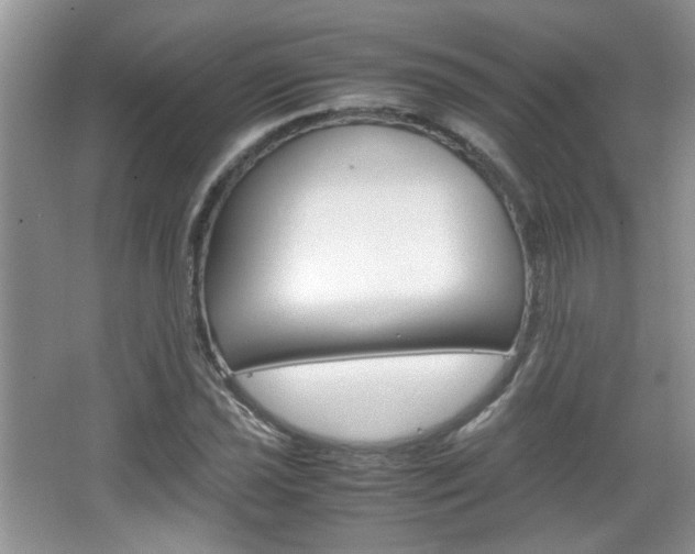 X0000067871021200604131009