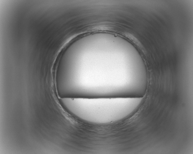 X0000067871031200604131009