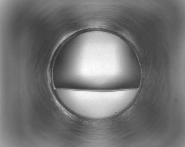 X0000067871032200604131009