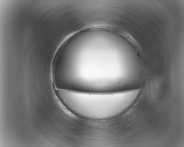 X0000067871036200604131009