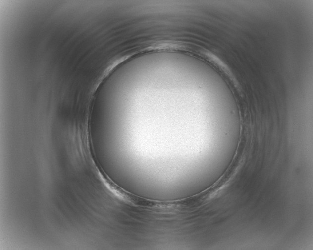 X0000067871041200604131009