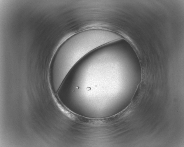 X0000067871042200604131009