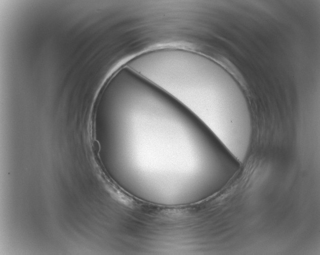 X0000067871044200604131009
