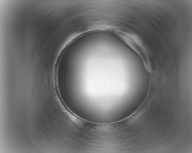 X0000067871046200604131009
