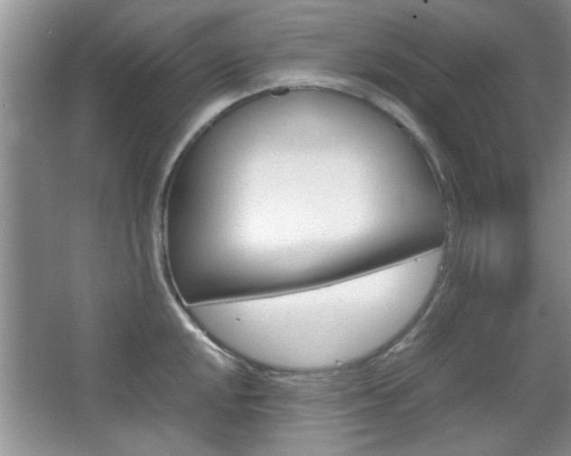 X0000067871048200604131009