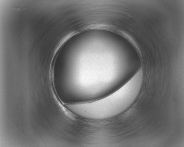 X0000067871050200604131010