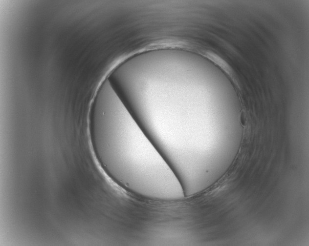X0000067871055200604131010