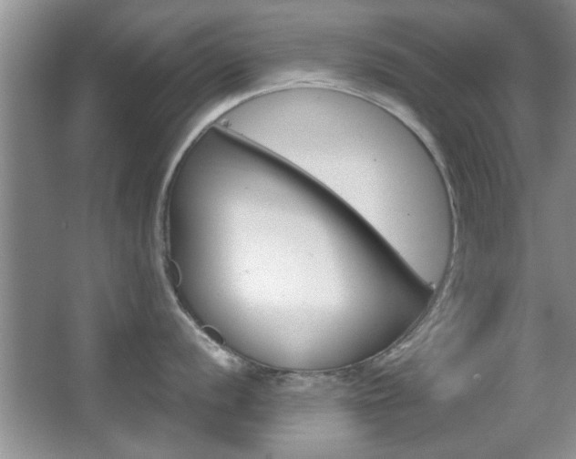 X0000067871056200604131010