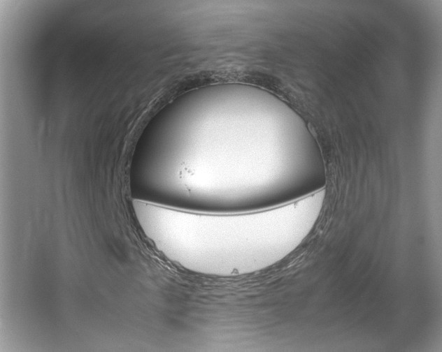 X0000067871057200604131009